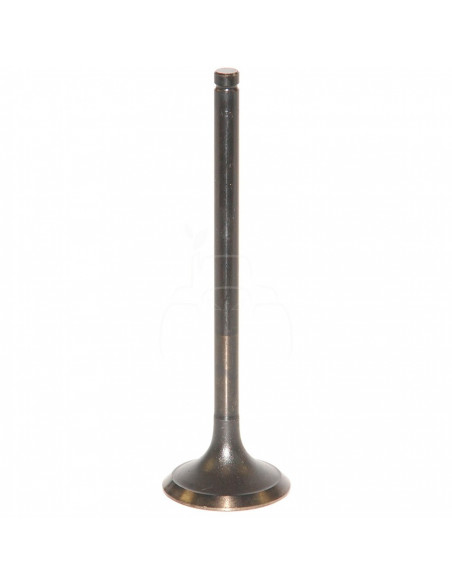 VÁLVULA DE ESCAPE Ø 40,8 x 8 mm - L 137,5 mm - 45°