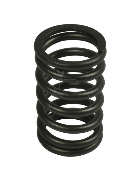 MUELLE DE VÁLVULA Ø 25 x 35 mm - L 62 mm