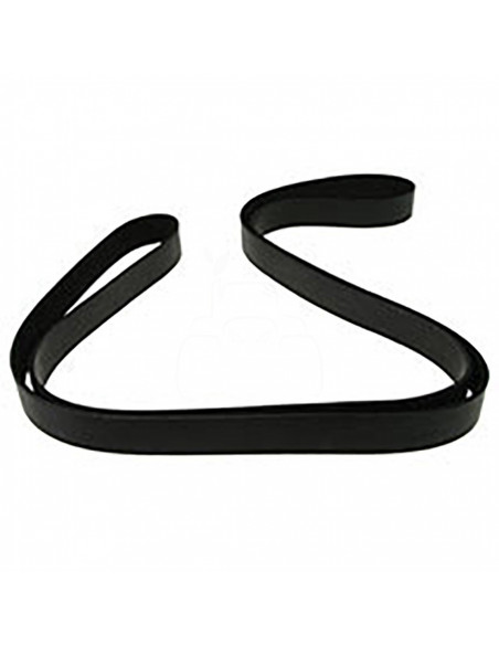 CORREA ACANALADA 10 PK x 2562 DE VENTILADOR