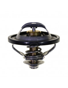 TERMOSTATO CON JUNTA Ø 60 MM - ALT. 57 MM