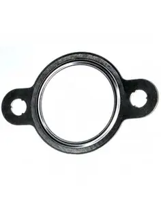 JUNTA COLECTOR DE ESCAPE