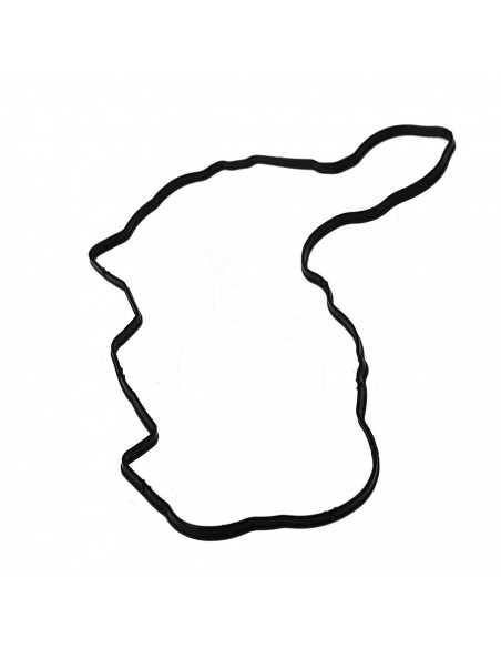 JUNTA DE TAPA DE BALANCÍN SUPERIOR