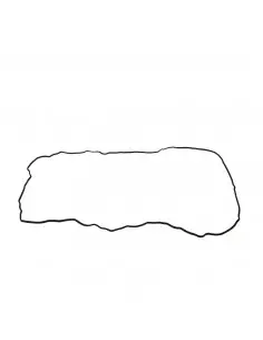 JUNTA DE TAPA DE BALANCÍN