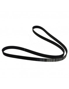 CORREA ACANALADA 6 PK x 1610