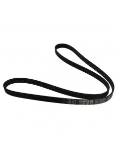 CORREA ACANALADA 6 PK x 1610