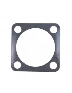 Cala arandela reglaje 1,00 mm F514.300.020.170