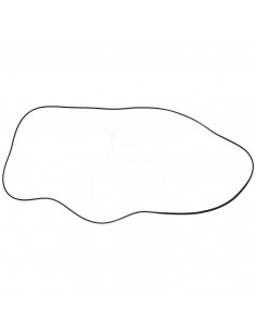 JUNTA DE TAPA DE BALANCÍN