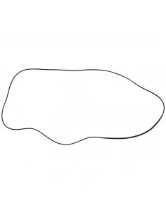 JUNTA DE TAPA DE BALANCÍN