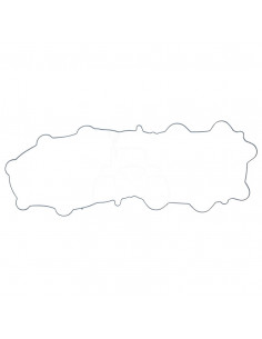 JUNTA DE TAPA DE BALANCÍN