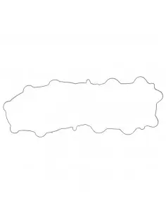 JUNTA DE TAPA DE BALANCÍN