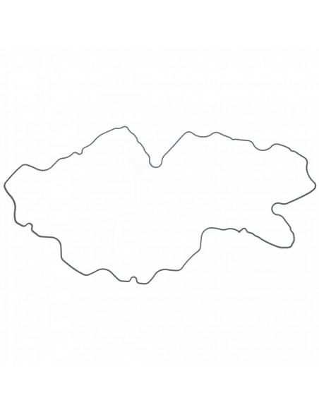 JUNTA DE TAPA DE BALANCÍN