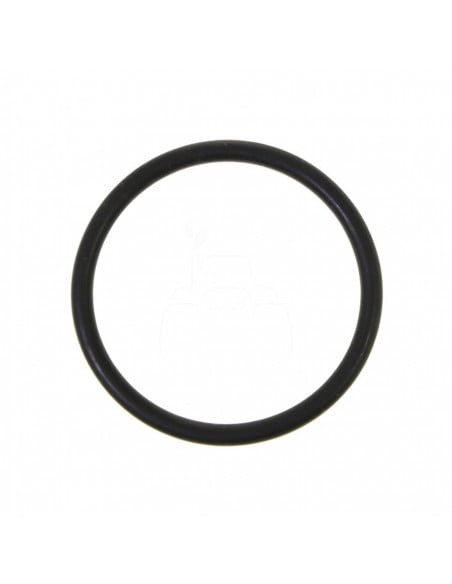 JUNTA TÓRICA 31,42 x 2,62 mm