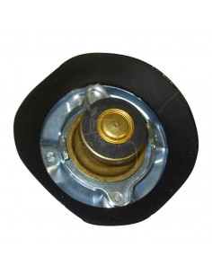 TAPÓN RADIADOR PRESIÓN 0,69 BAR