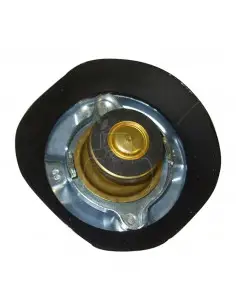 TAPÓN RADIADOR PRESIÓN 0,69 BAR