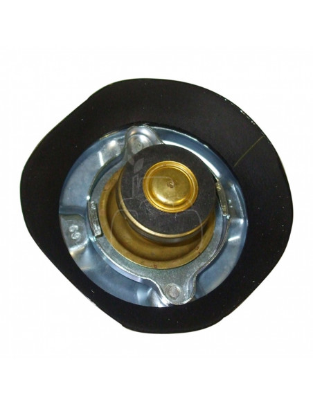 TAPÓN RADIADOR PRESIÓN 0,69 BAR