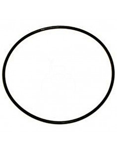 JUNTA TÓRICA 80,60 x 2,62 mm