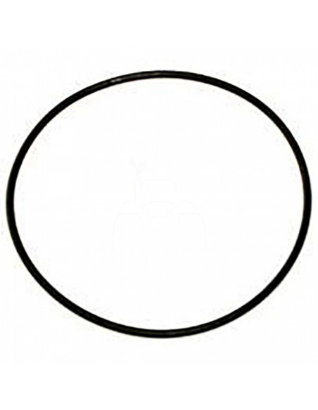 JUNTA TÓRICA 80,60 x 2,62 mm