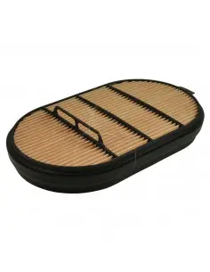 FILTRO DE AIRE INTERIOR