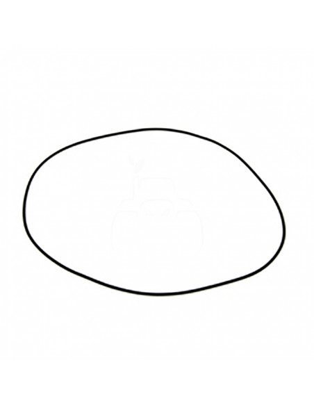 JUNTA TÓRICA Ø 202,87 x 2,62 mm