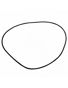 ANILLO TÓRICO CUBO REDUCTOR DELANTERO Ø 253.59 x 3.53 mm.