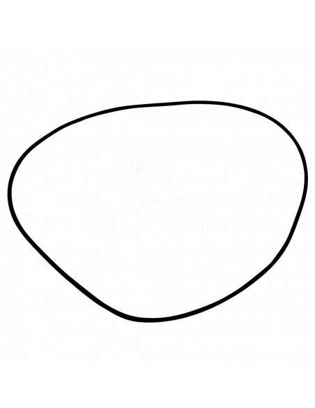 ANILLO TÓRICO CUBO REDUCTOR DELANTERO Ø 253.59 x 3.53 mm.