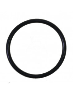 TÓRICA GRUPO CÓNICO