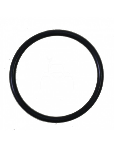 TÓRICA GRUPO CÓNICO