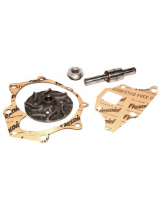 KIT DE REPARACIÓN DE BOMBA DE AGUA