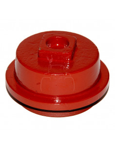 TAPÓN DEL BUJE DE RUEDA