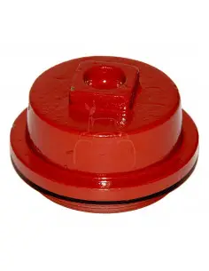 TAPÓN DEL BUJE DE RUEDA