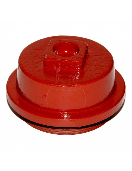 TAPÓN DEL BUJE DE RUEDA