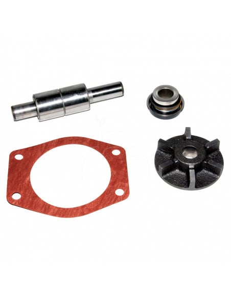 KIT DE REPARACIÓN DE BOMBA DE AGUA