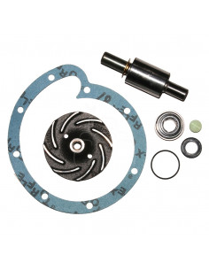 KIT DE REPARACIÓN DE BOMBA DE AGUA