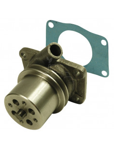 BOMBA DE AGUA CON POLEA