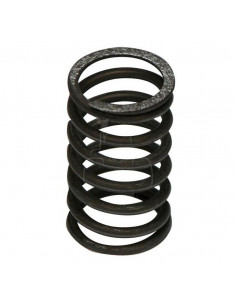 MUELLE DE VÁLVULA Ø 28.4 X 37.80 MM - L 55.50 MM