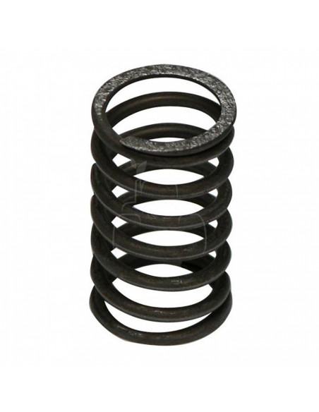 MUELLE DE VÁLVULA Ø 28.4 X 37.80 MM - L 55.50 MM