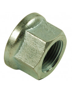 TUERCA DE LA BRIDA DE RUEDA M20 X 1.5