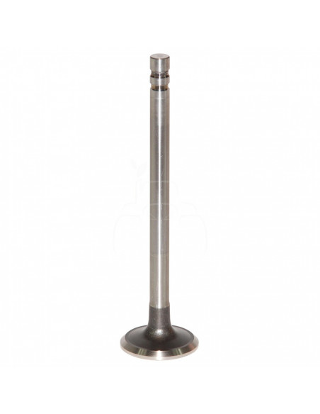 VÁLVULA DE ESCAPE Ø 38,4 x 9,4 mm (0,003'' - 0,076 mm) - L 145,9 mm - 45°