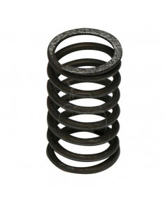 MUELLE DE VÁLVULA ESCAPE