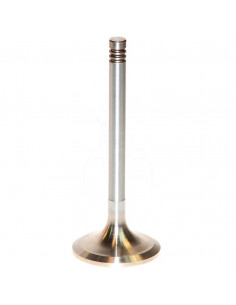 VÁLVULA DE ADMISIÓN Ø 47 X 9 MM - L 117 MM - 30°