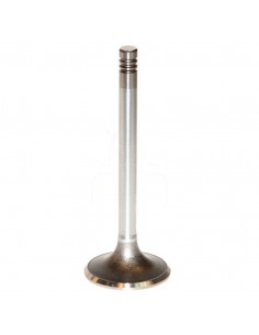 VÁLVULA DE ESCAPE Ø 43 X 8.95 MM - L 117 MM - 45°