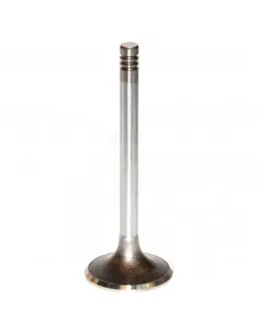 VÁLVULA DE ESCAPE Ø 43 X 9 MM - L 117 MM - 45°