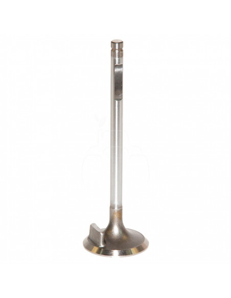 VÁLVULA DE ADMISIÓN Ø 42,9 x 8 mm - L 137,7 mm - 45°