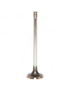 VÁLVULA DE ESCAPE Ø 36,22 mm x 7,93 mm - L 137,78 mm - 45°