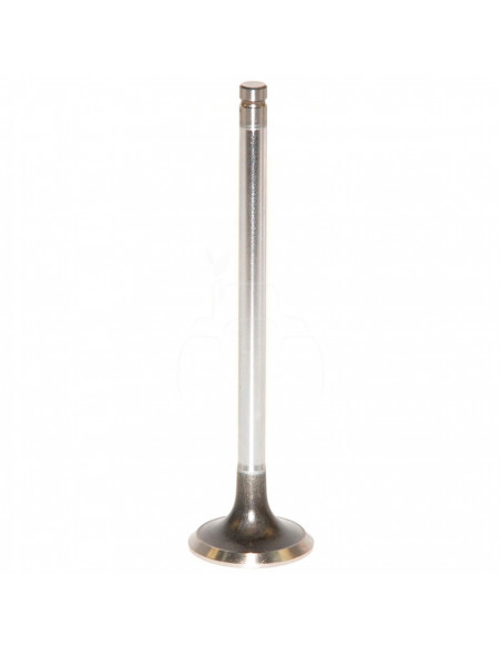 VÁLVULA DE ESCAPE Ø 36,22 mm x 7,93 mm - L 137,78 mm - 45°