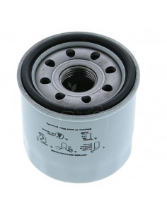 Filtro de aceite motor