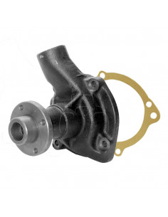 Bomba de agua Ford 85004985