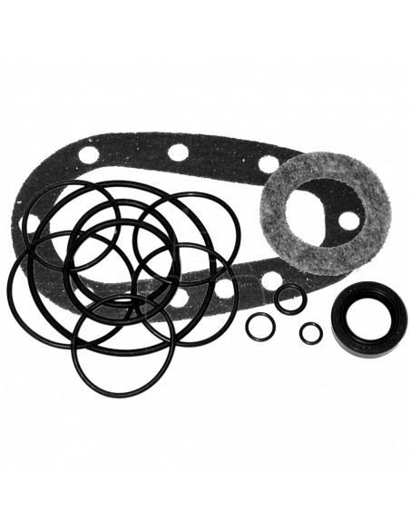 Kit de retenes dirección Ford 83936975