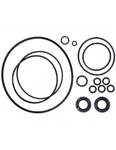 Juego de reparación de bomba Ford 83910651