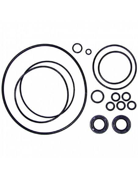 Juego de reparación de bomba Ford 83910651